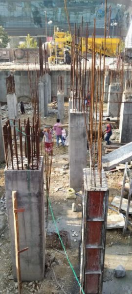 Progress Update - 16-Feb-2020